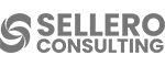 https://selleroconsulting.pl/