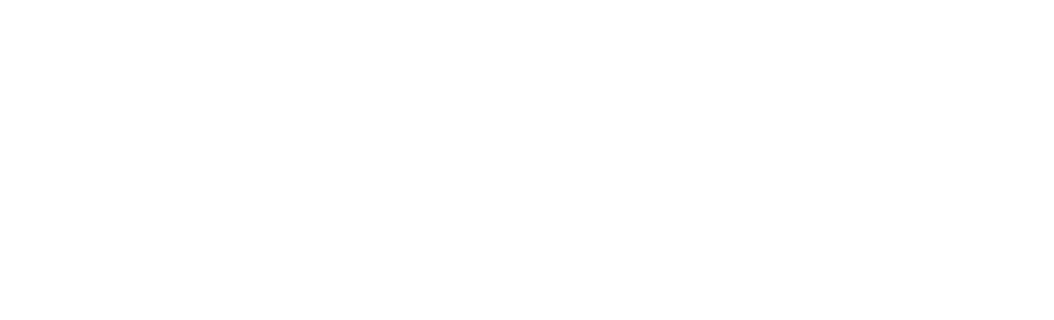 Projekt81